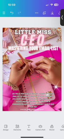 Little Miss CEO: Mastering your email list